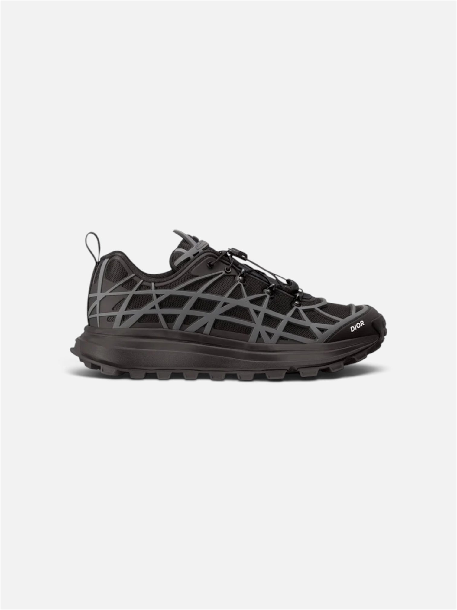 Dior B31