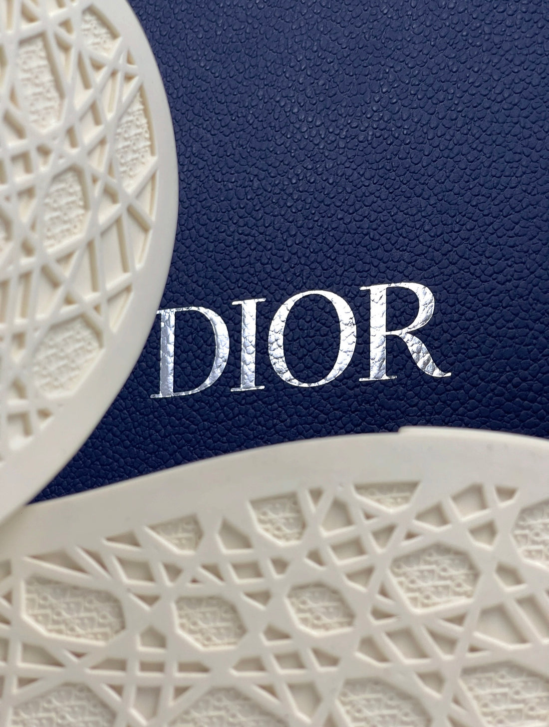 Dior B33