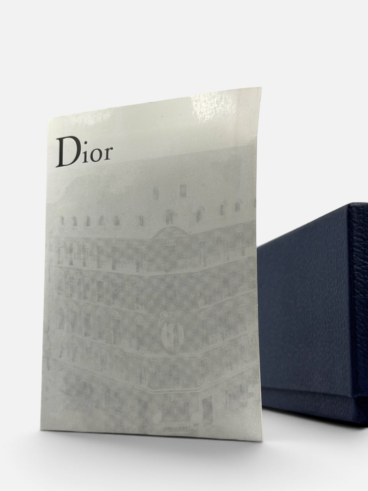 Dior B33